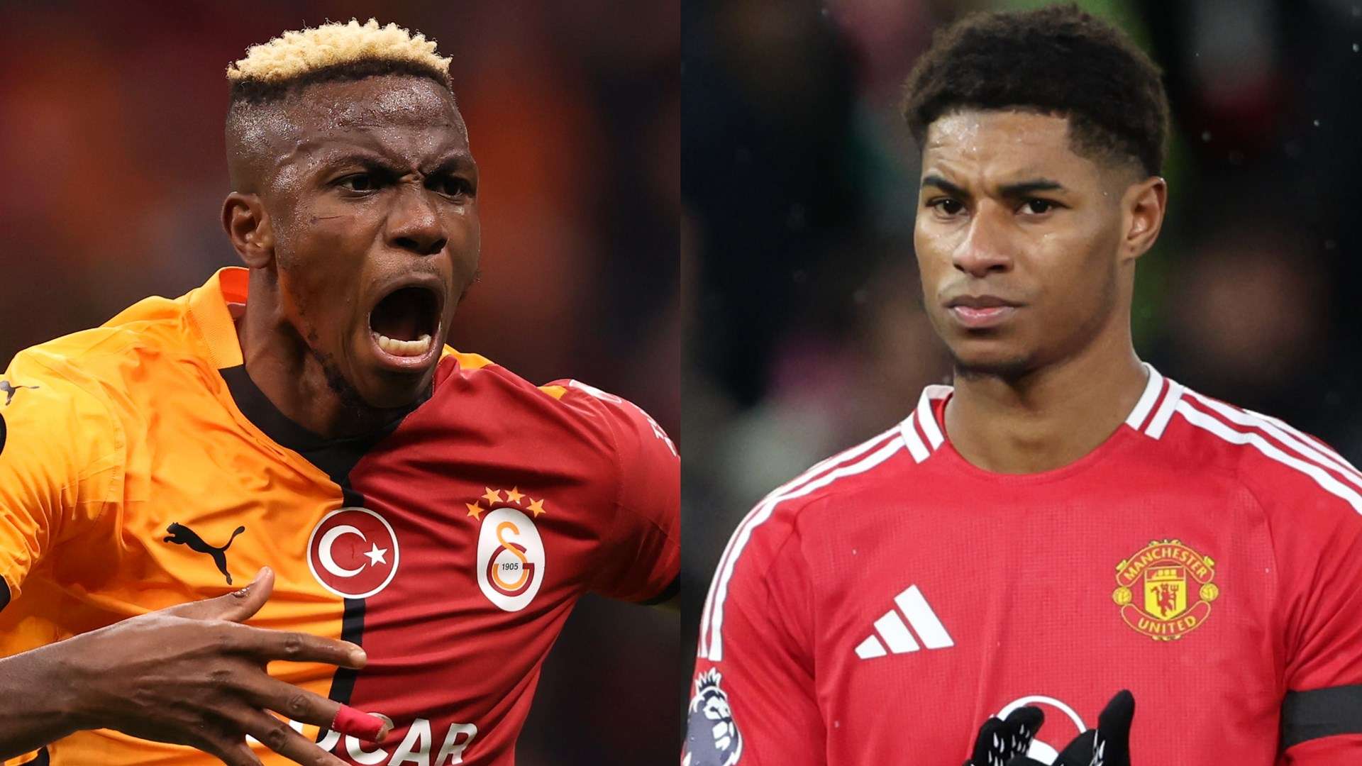 我们可以清 我们可以清